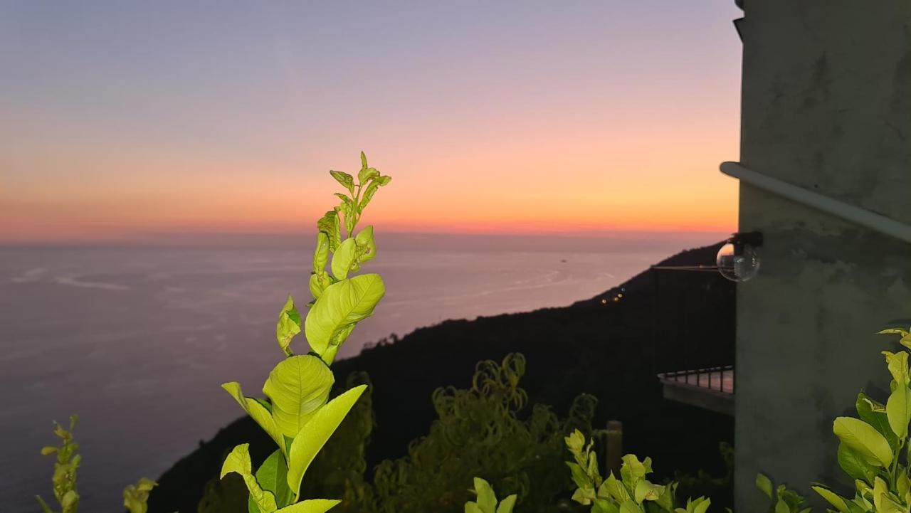 Апартаменты Sunset - Homy 5 Terre Retreat Biassa Экстерьер фото